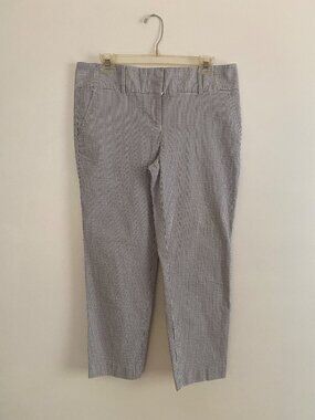 Ann Taylor Women's Blue & White Striped Ankle Pants Size 10